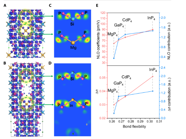 突破！这所双非，今年首篇Science Advances！