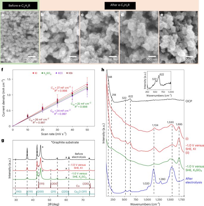 电催化，Nature Catalysis！