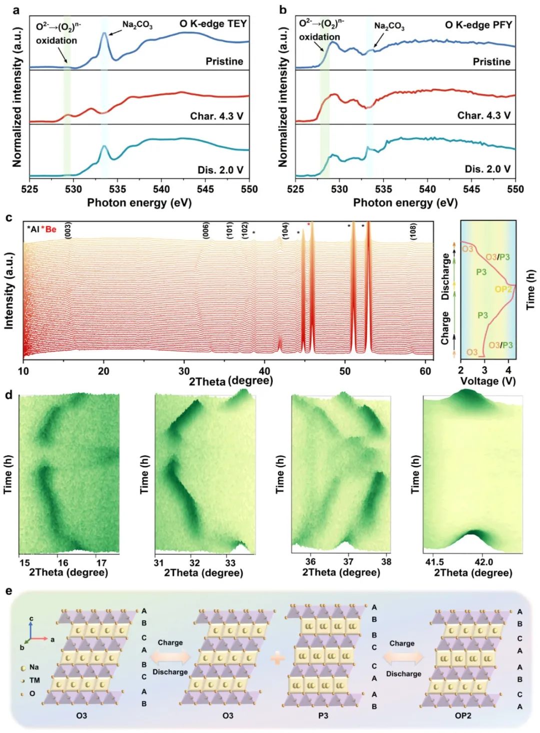 硕士生一作！温大侴术雷教授团队，最新JACS！