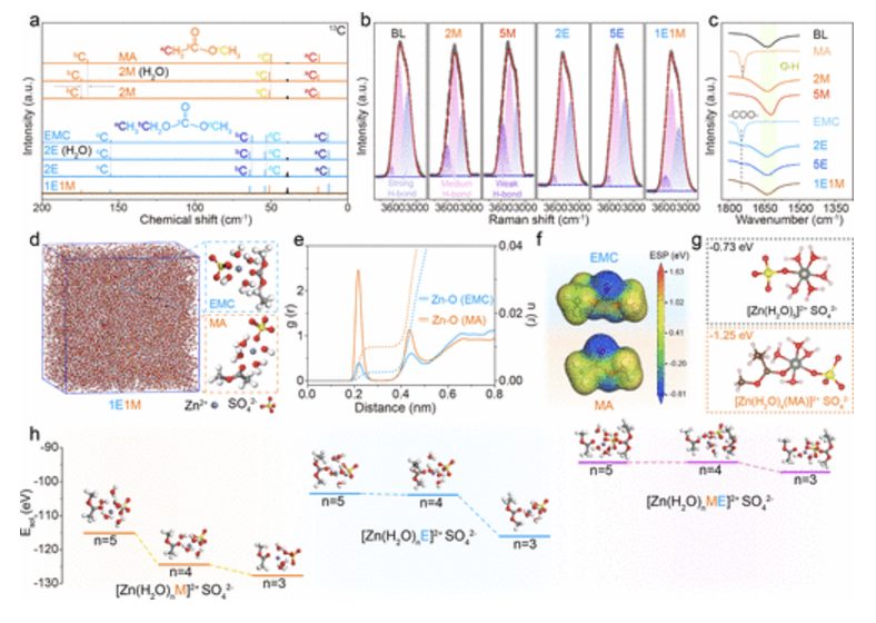 【MS发顶刊】东北师大，JACS！分子协同效应介导高效界面化学实现无枝晶锌阳极！