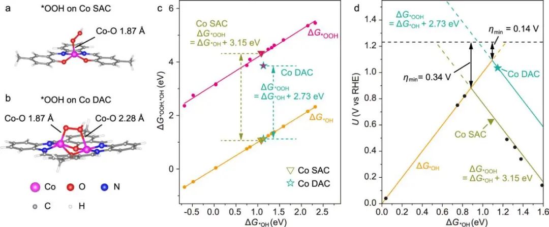 打破约束！他，回国即博导/独立PI、「国家高层次人才」，最新JACS！