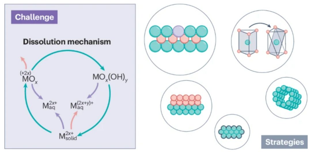 博士生一作！他，回国即任985教授/博导，「国家高层次青年人才」，新发Nature Catalysis！