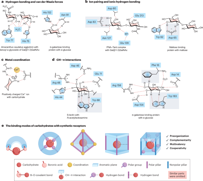 作者仅3人！中山大学，新发Nature Reviews Chemistry！