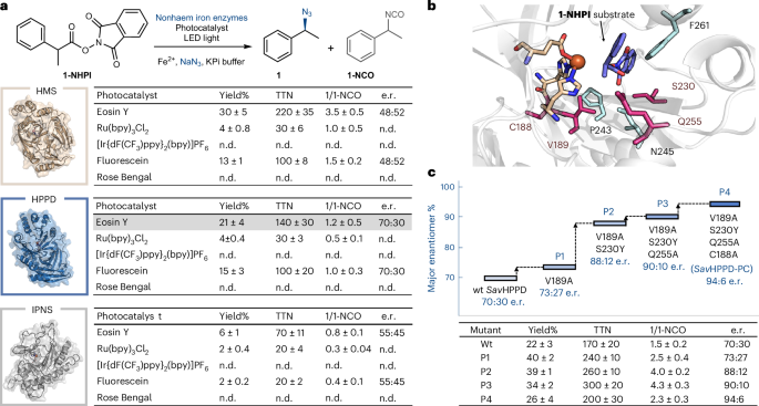 效法自然，生物催化！他，科大校友/霍普金斯教职，继Science后，再发Nature Catalysis！