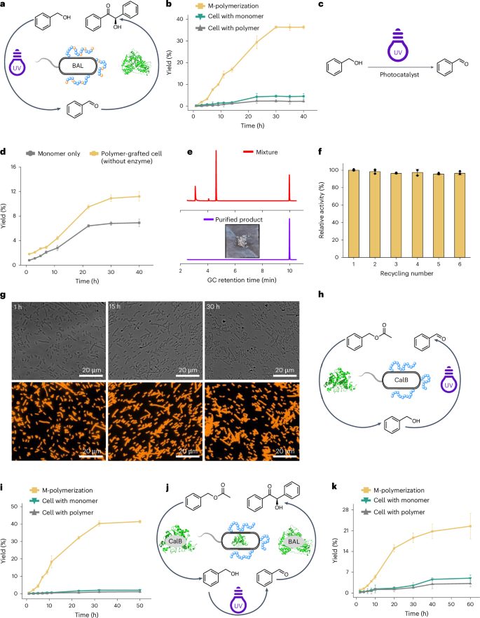 安农大校友，登顶Nature Catalysis！