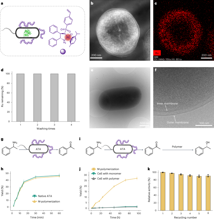 安农大校友，登顶Nature Catalysis！