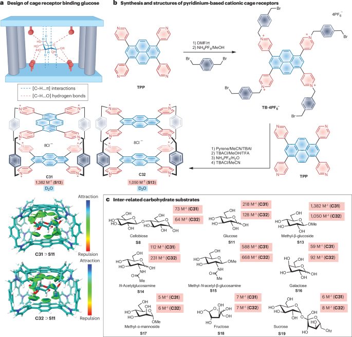 作者仅3人！中山大学，新发Nature Reviews Chemistry！