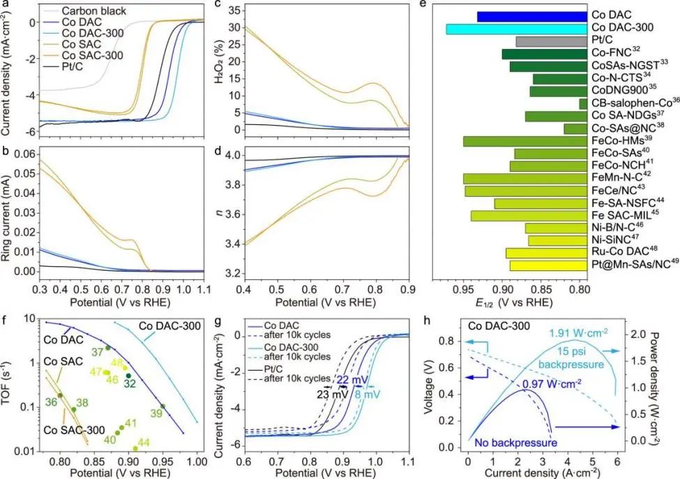 打破约束！他，回国即博导/独立PI、「国家高层次人才」，最新JACS！