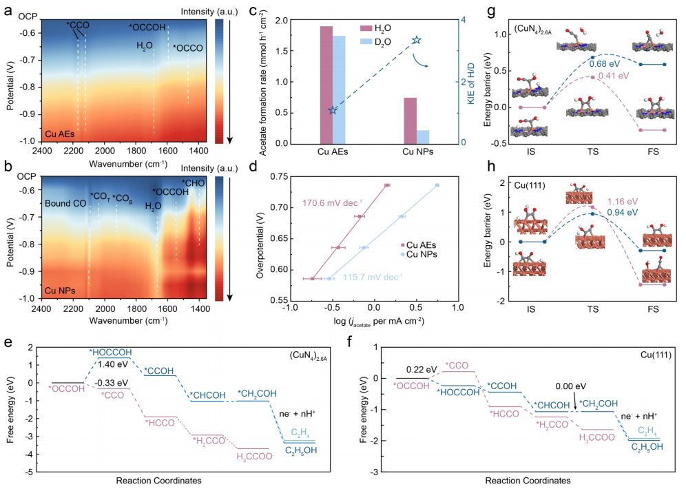 化学所韩布兴院士&孙晓甫，最新JACS！