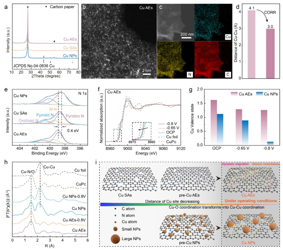 化学所韩布兴院士&孙晓甫，最新JACS！