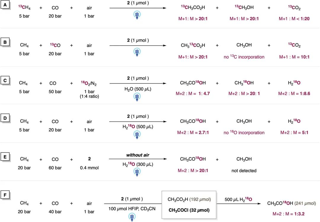 他，手握2篇Science，中科院上海有机化学研究所左智伟，发表JACS！