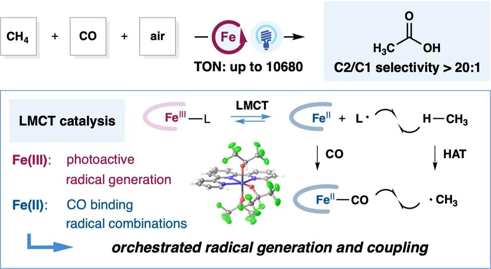 他，手握2篇Science，中科院上海有机化学研究所左智伟，发表JACS！