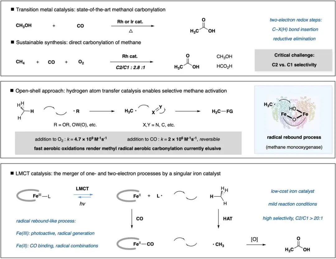 又帅又牛！他，手握2篇Science，博毕3年即研究员、9年「国家杰青」，最新JACS！