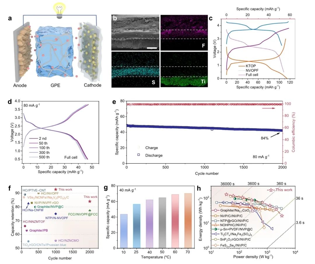 10000次！武汉理工/郑州大学，Nature子刊！