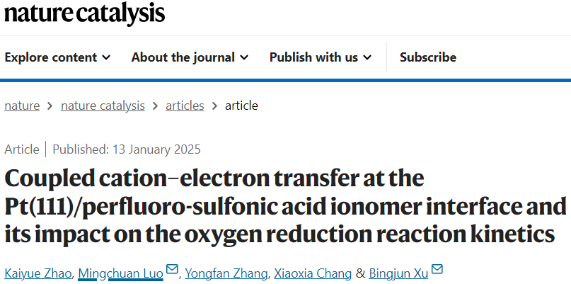 历时11个月！北大「长江特聘」联手「国家高层次人才」，2025年首篇Nature Catalysis！