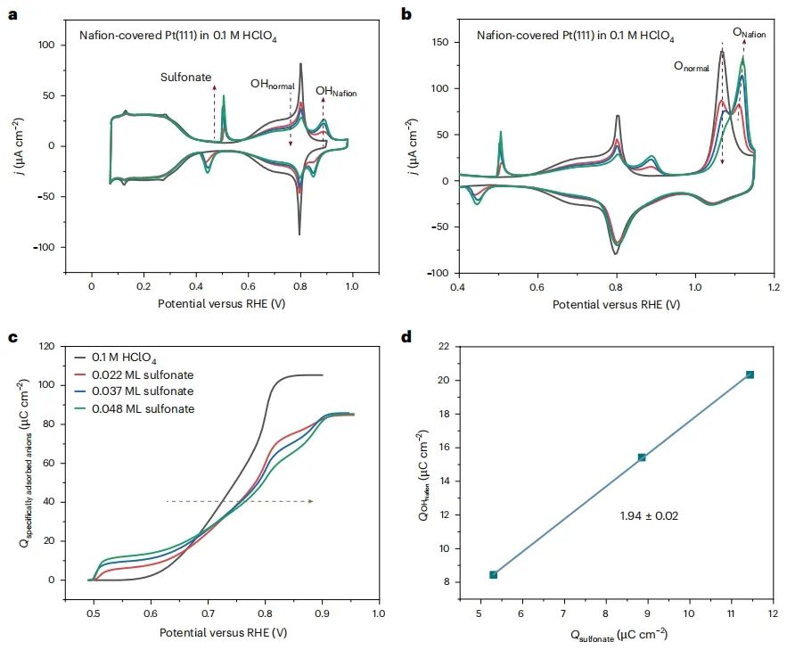 历时11个月！北大「长江特聘」联手「国家高层次人才」，2025年首篇Nature Catalysis！