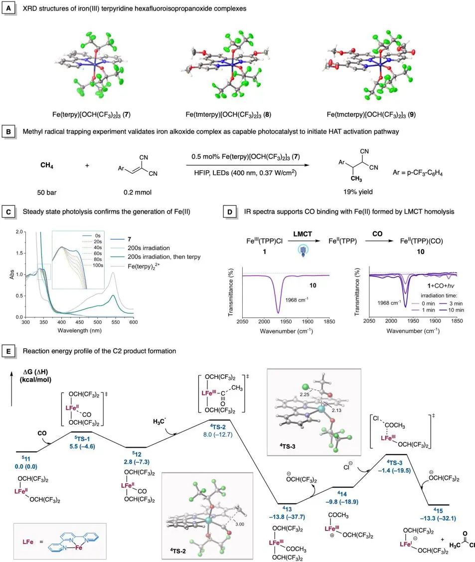 他，手握2篇Science，中科院上海有机化学研究所左智伟，发表JACS！