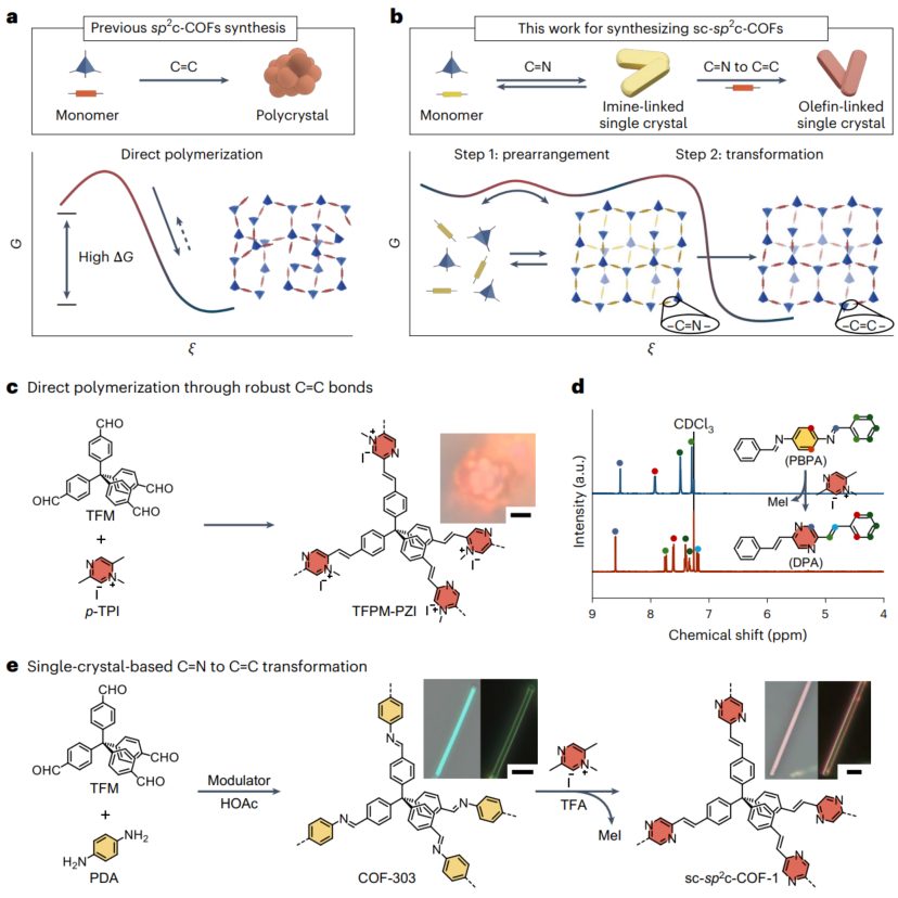 博士一作！他，师从冯新亮院士，中科院「国家优青」，联合南开，新发Nature Chemistry！