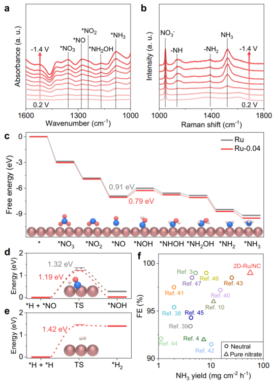 唯一通讯！他，博毕8年获「国家优青」，新发Nature子刊！