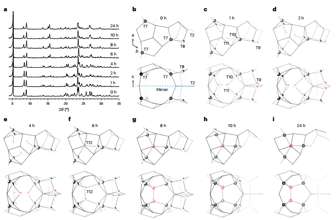 邹晓冬院士/华东师大「长江/杰青」吴鹏，最新Nature Synthesis！