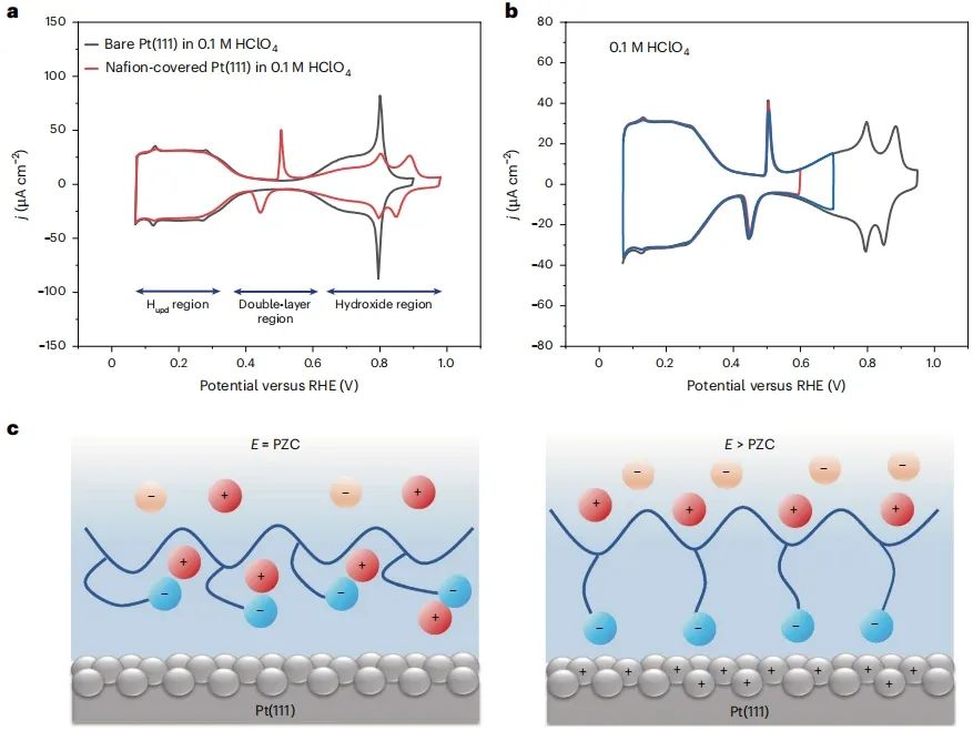 历时11个月！北大「长江特聘」联手「国家高层次人才」，2025年首篇Nature Catalysis！